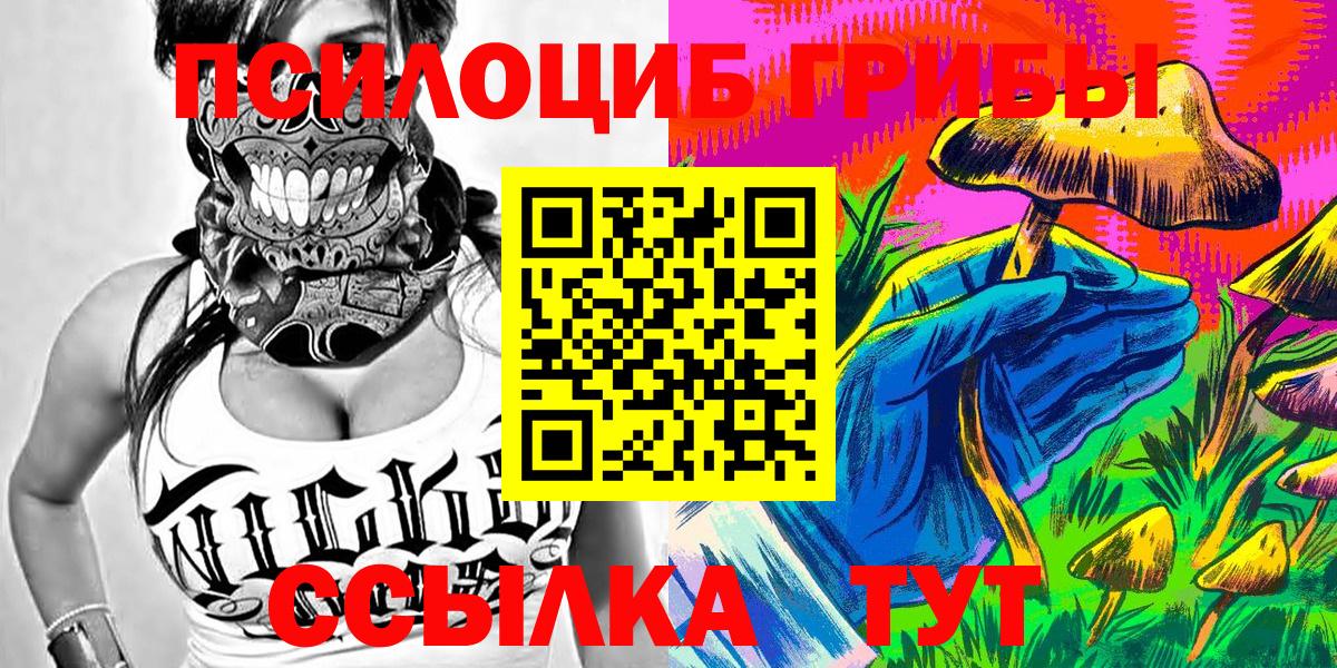 где можно купить   Галлюциногенные грибы Magic Shrooms  Вход с VPN  Кемерово 